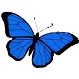 AdminLTE Logo